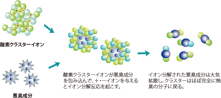 酸素クラスターイオンの効果